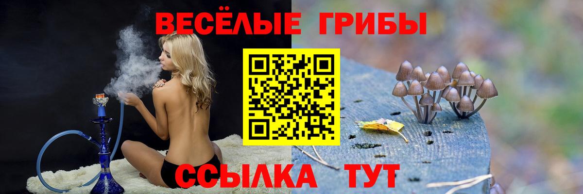 Псилоцибиновые грибы Magic Shrooms  Галлюциногенные грибы прущие грибы  Кузнецк  Вход с VPN 